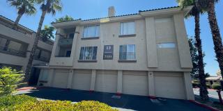 SHOWINGS AVAILABLE NOW Gallery 1