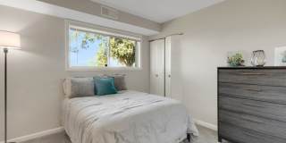 Park Greene Apartments Gallery 17