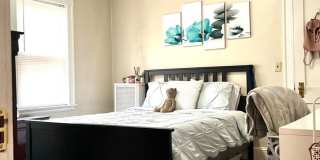 Gigantic 3 bed duplex unit in Oak Square Gallery 14