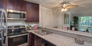 Playa Pacifica Gallery 6