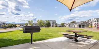 Pines at Castle Rock Gallery 8