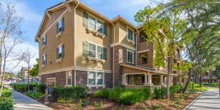 Meadow Square Apartment Homes - Affordable Housing Gallery 28