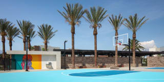 Homecoming at The Resort Apartments Gallery 41