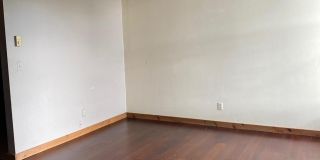 252 Harris Street Gallery 12