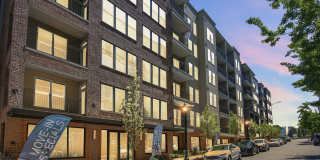 Live 8 West Gallery 72