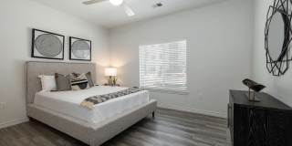 Moonlight Moonlight Gallery 3