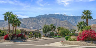 1502 Amelia Way Gallery 7