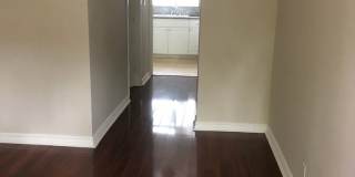 Rye 13506 Gallery 10