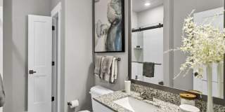 The Laney Gallery 28