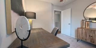 Autumn Chase Gallery 11