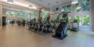 Magnolia at Milton Gallery 8