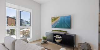 Haven + Arrow Gallery 32
