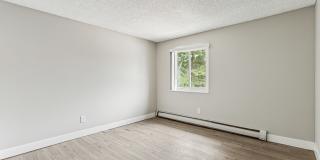 Park at Palmer Gallery 44