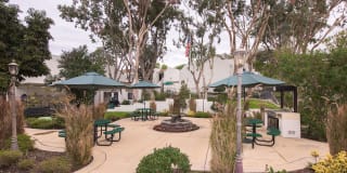 Park Genesee Gallery 2