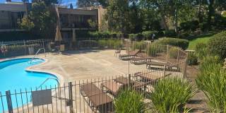 1 Bed 1 Bath Close to Lake Murray Gallery 12