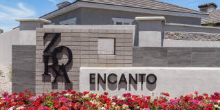 Zora Encanto Gallery 2