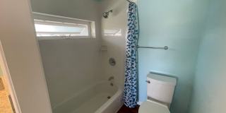 Renovated 3 UNITS right next to UH Manoa dormitory!! Gallery 11