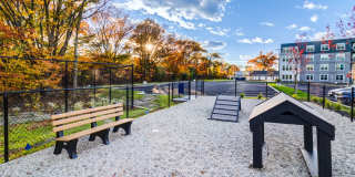 Alta Altitude Gallery 33