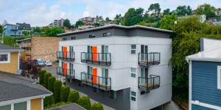 Vistana Vistana Gallery 10