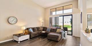 54838 Oak Tree Gallery 12