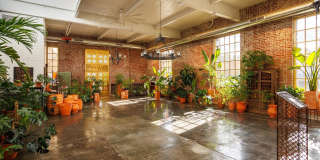 114 GREEN Lane Gallery 4