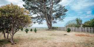 3 Bedroom 1 Bathroom Single Family McKinleyville Home 3 Bedroom 1 Bathroom Single Family McKinleyville Home Gallery 6
