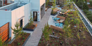 LUCILLE ON ROOSEVELT Gallery 90