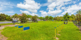 Pine Lake Gallery 18