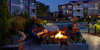 Lake Clearwater Gallery 50