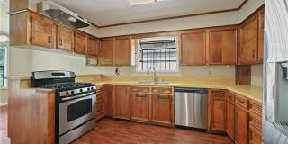 2505 Rustling Oaks Drive Gallery 4