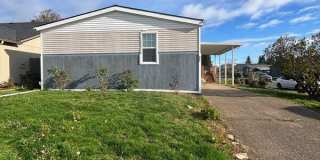 301 Archie Street Gallery 1