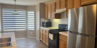15177 Dandelion Gallery 10