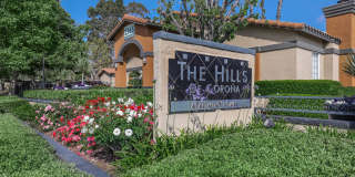The Hills Of Corona Gallery 29