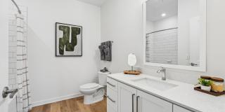 Mosby at Avalon Park Gallery 10