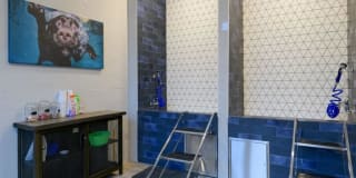 Bluebird Row Gallery 27