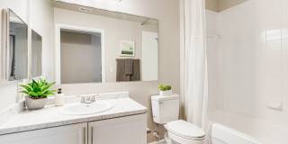 Lexington Palms at the Forum Gallery 18