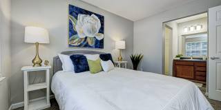 Village Crossing Gallery 11