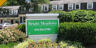 Bright Meadows Gallery 21