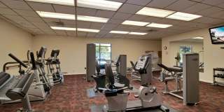 955 Dotterel Road Gallery 43