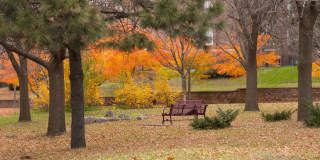 The Cambric Apartments - Senior & Affordable Housing Gallery 28