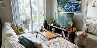 Spacious 3 & 4 Bedroom Apartments Near WWU + Downtown Gallery 15