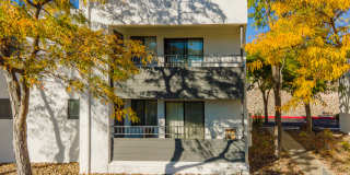 Puerta Del Sol Gallery 20