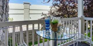 Cedar Breaks Gallery 10