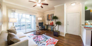 Nolina Flats Nolina Flats Gallery 8