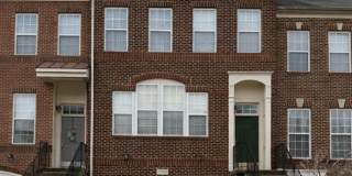 41859 CINNABAR Square Gallery 1