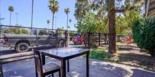 351 East Encanto Drive Gallery 35