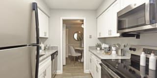 421 at Whitsett Gallery 2