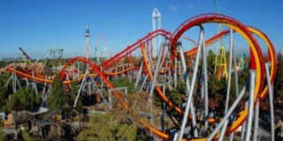 162 Overbrook Gallery 27