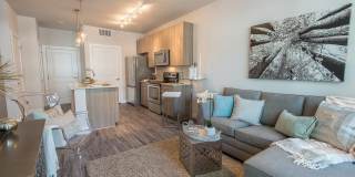 Mayfair Reserve Gallery 7