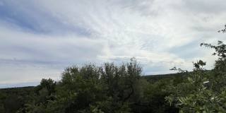 10408 Brimfield Dr Gallery 20